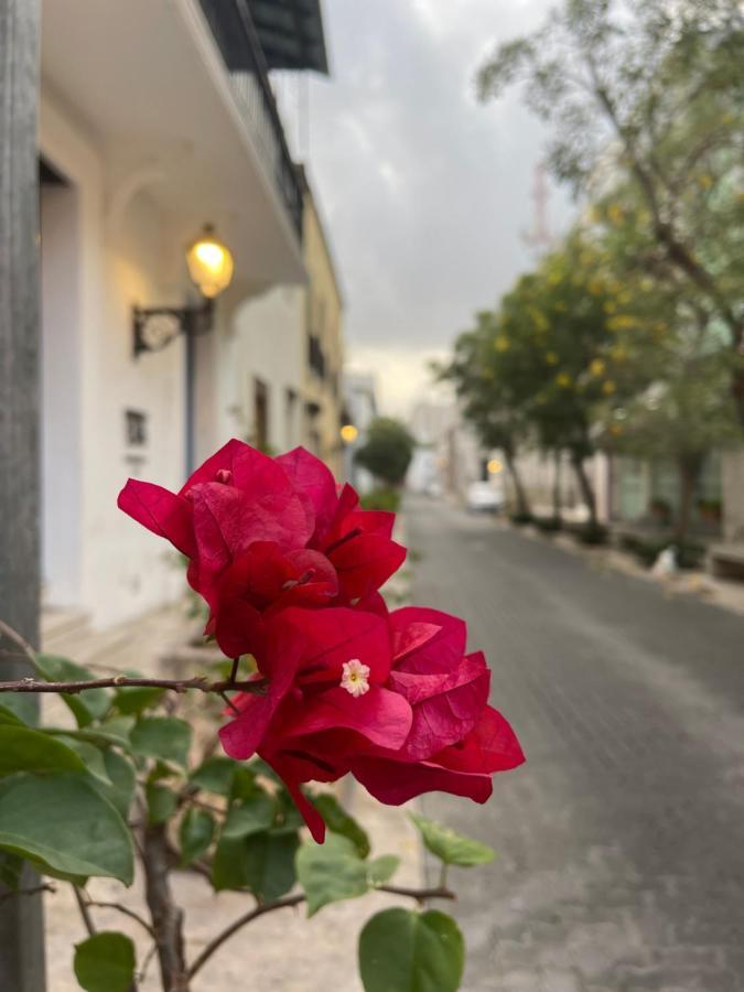 Vbermor Hotel Saint-Domingue Extérieur photo